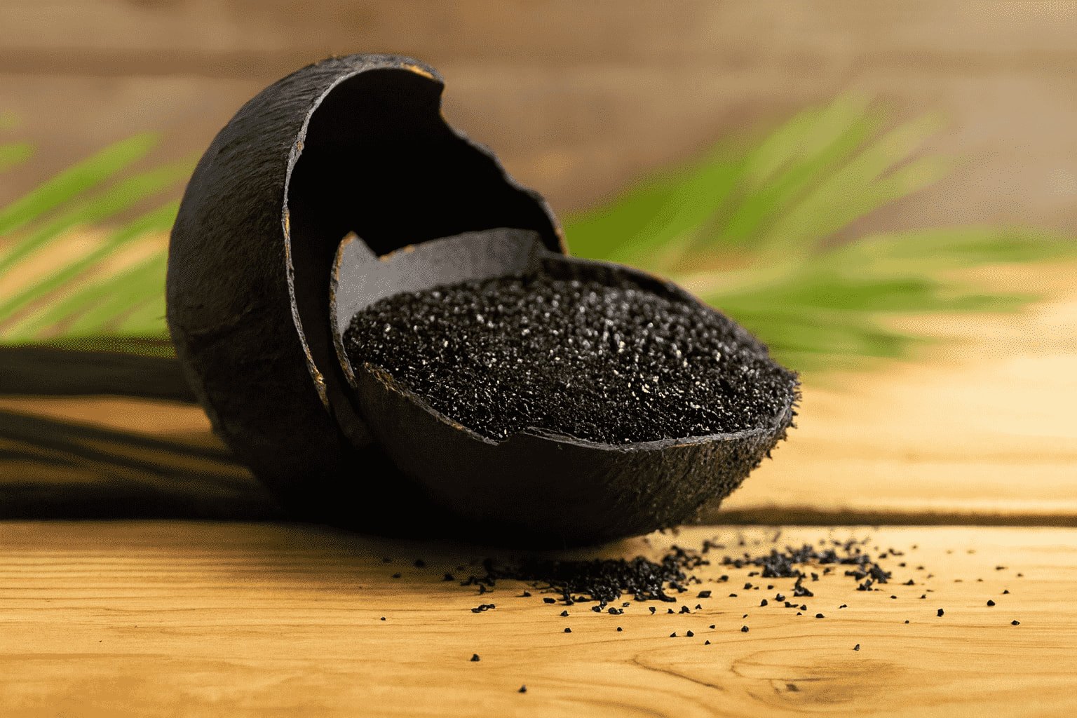 coconut-shell-activated-carbon-4-3119553976.jpg